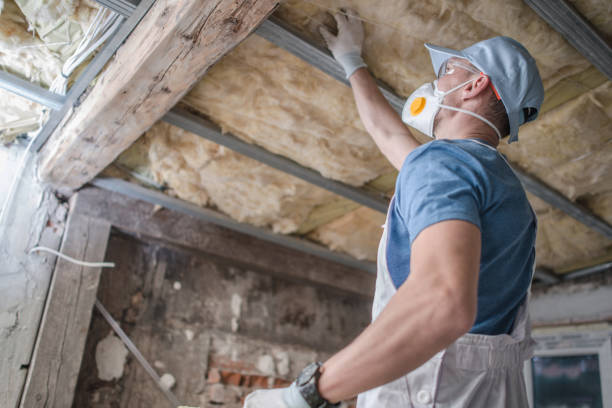 Trusted Winfield, KS Insulation Contractor Experts